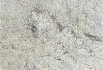 Bianco Romano